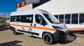 Opel Movano 9 Sitzer Fiat Ducato Lagerfahrzeug Stock - thumbnail 2
