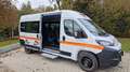 Opel Movano 9 Sitzer Fiat Ducato Lagerfahrzeug Stock - thumbnail 6