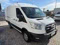 Ford Transit 2021 Transit 290 2.0TDCi EcoBlue 130CV PM-TM Bianco - thumbnail 2