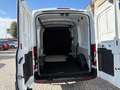 Ford Transit 2021 Transit 290 2.0TDCi EcoBlue 130CV PM-TM Bianco - thumbnail 9