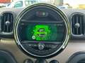 MINI Cooper Countryman Grün - thumbnail 19