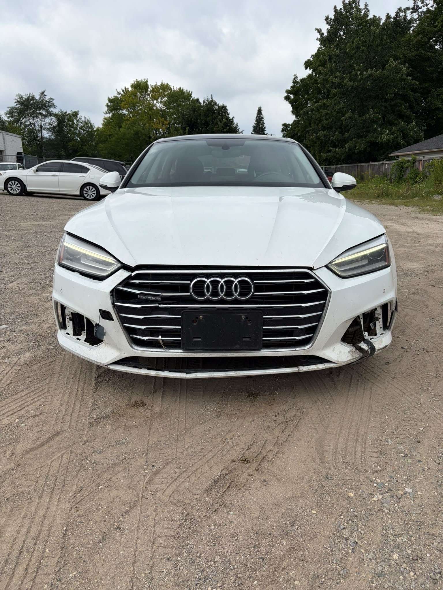 2019 Audi A5 Komfort 45 TFSI quattro — снимка 1