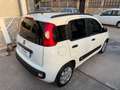 Fiat Panda Panda 1.2 EasyPower Lounge Blanc - thumbnail 4