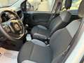 Fiat Panda Panda 1.2 EasyPower Lounge Blanc - thumbnail 12