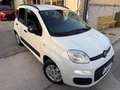 Fiat Panda Panda 1.2 EasyPower Lounge Blanc - thumbnail 2