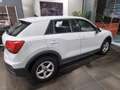 Audi Q2 35 TFSI Weiß - thumbnail 6