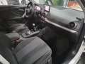 Audi Q2 35 TFSI Bianco - thumbnail 12