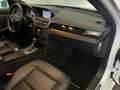 Mercedes-Benz E 250 CDI AMG Lim.BlueEfficiency*Pano-Leder-PDC* Weiß - thumbnail 15