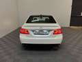 Mercedes-Benz E 250 CDI AMG Lim.BlueEfficiency*Pano-Leder-PDC* Weiß - thumbnail 6