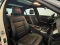 Mercedes-Benz E 250 CDI AMG Lim.BlueEfficiency*Pano-Leder-PDC* Weiß - thumbnail 14