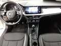 Skoda Kamiq 1.0TSI Tour *PDC*Smart-Link*Sitzh*LED* Weiß - thumbnail 9