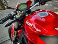 Ducati Monster 797 rosso* inkl Termignioni Rood - thumbnail 11