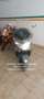 Suzuki Burgman 400 Burgman 400 ABS Gris - thumbnail 1