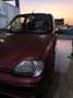 Fiat 600 1.1 nuovissima Rosso - thumbnail 1
