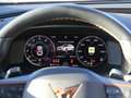 CUPRA Formentor 1.5 TSI DSG AHK 360° LED SHZ APP AC Grau - thumbnail 13