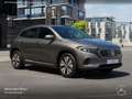 Mercedes-Benz EQA 250 PROG+ADVANCED+KAMERA+SPUR Grau - thumbnail 22