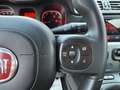 Fiat Panda 1.0 FireFly S&S Hybrid City Cross Blu/Azzurro - thumbnail 13