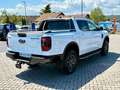 Ford Ranger Wildtrak e-4WDDOKA 2.0 EcoBlue Rollo IACC Weiß - thumbnail 8