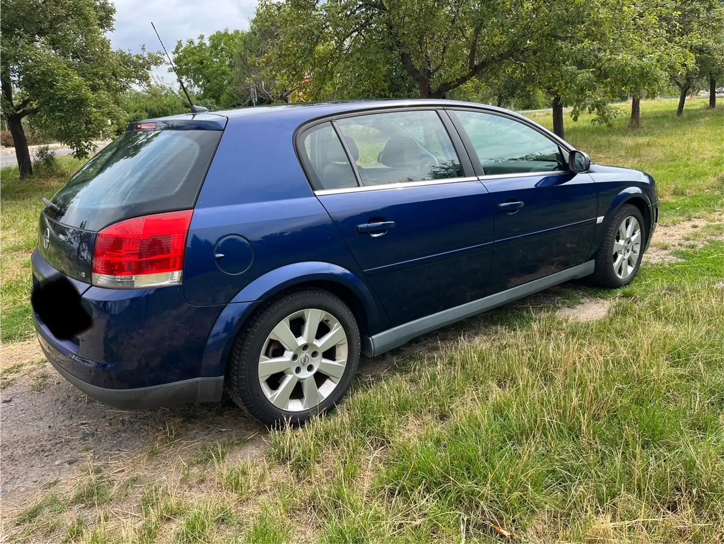 Opel Signum Cosmo Blau - 2