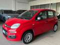 Fiat Panda Panda III 2016 1.2 Easy easypower Gpl 69cv my19 Rojo - thumbnail 10