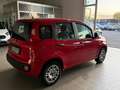 Fiat Panda Panda III 2016 1.2 Easy easypower Gpl 69cv my19 Rojo - thumbnail 4