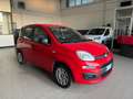 Fiat Panda Panda III 2016 1.2 Easy easypower Gpl 69cv my19 Rojo - thumbnail 2