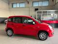 Fiat Panda Panda III 2016 1.2 Easy easypower Gpl 69cv my19 Rojo - thumbnail 3