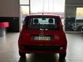 Fiat Panda Panda III 2016 1.2 Easy easypower Gpl 69cv my19 Rojo - thumbnail 6