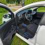 Dacia Sandero 1.0 Wit - thumbnail 8