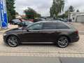 Audi A6 allroad quattro Leder Bose Temp SHZ Standhzg Brun - thumbnail 3