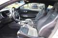 Ford Mustang Mach 1  Fastback / RECARO + Navi + Kamera Grau - thumbnail 8