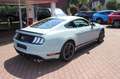 Ford Mustang Mach 1  Fastback / RECARO + Navi + Kamera Grau - thumbnail 3