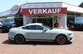 Ford Mustang Mach 1  Fastback / RECARO + Navi + Kamera Grau - thumbnail 1