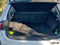 Volkswagen Tiguan 2.0 tdi scr R-Line 150cv dsg Bianco - thumbnail 14