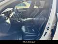 Mercedes-Benz E 200 E -Klasse d T-Modell TAXI / NAVI / 10/25 Gelb - thumbnail 8
