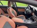 Alfa Romeo Giulia 2.0T | 310PK | Rosso | Cloverleafs | Verlaagd | Ze Rood - thumbnail 33