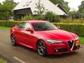 Alfa Romeo Giulia 2.0T | 310PK | Rosso | Cloverleafs | Verlaagd | Ze Rood - thumbnail 15