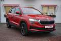 Skoda Karoq 1.5 TSI Drive LED Panorama Kamera Rot - thumbnail 7
