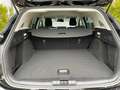 Ford Focus Turnier Titanium Edition 125PS *ACC|Kamera Schwarz - thumbnail 5
