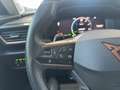 CUPRA Formentor 1.4 e-HYBRID 204 DSG inkl. Winter-Paket, elektr... Schwarz - thumbnail 13