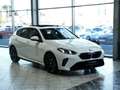 BMW 120 120d M Sport Panorama Memory 360K Head-Up Weiß - thumbnail 7