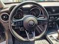 Alfa Romeo Stelvio 2.2JTD190 AZ8 Q4 Business - thumbnail 11
