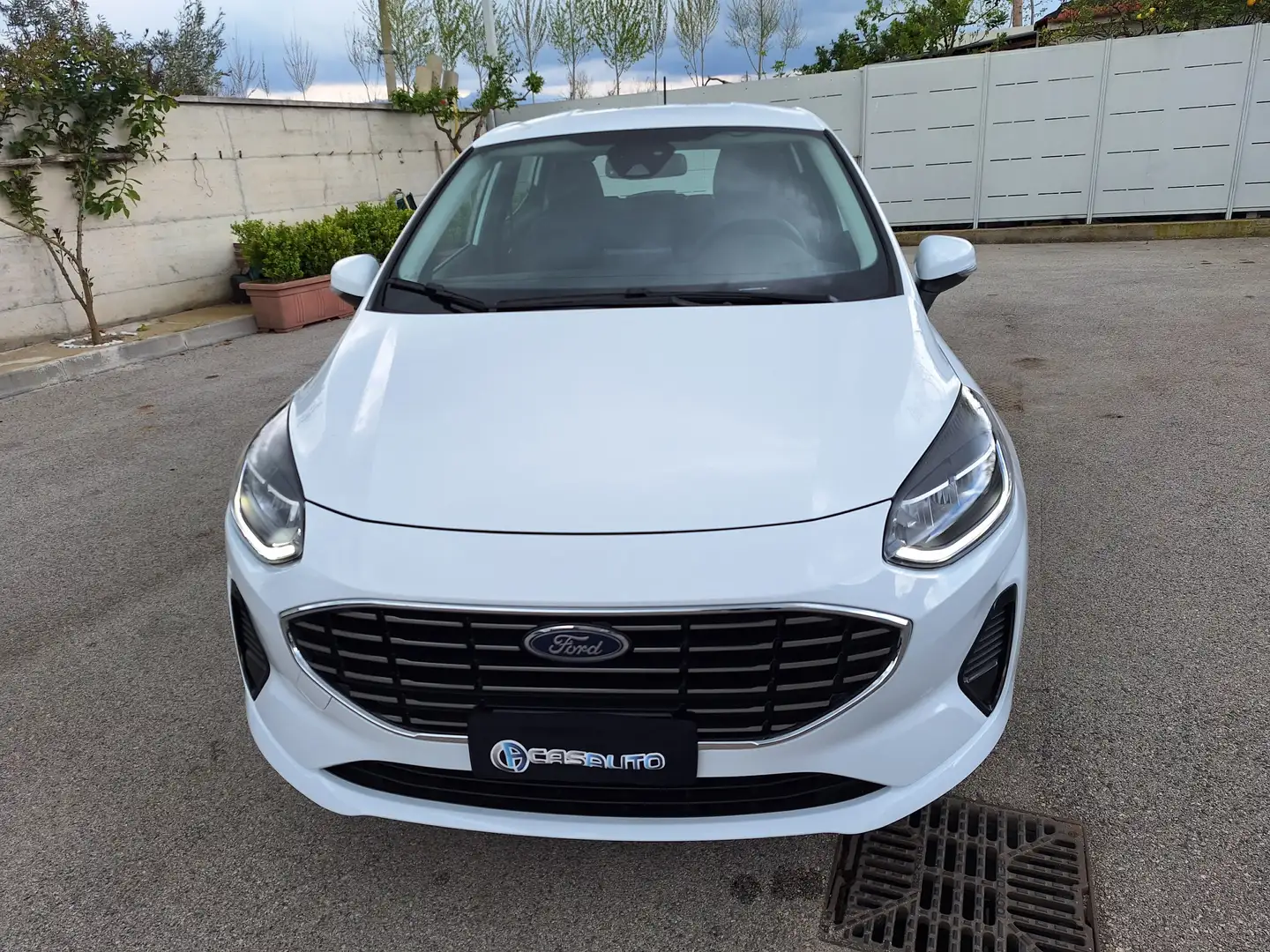 Ford Fiesta TITANIUM 1.1 75cv NAV/GPL Bianco - 2