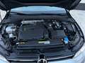 Volkswagen Golf Golf VIII 2020 1.5 tgi Life 130cv dsg Argent - thumbnail 19