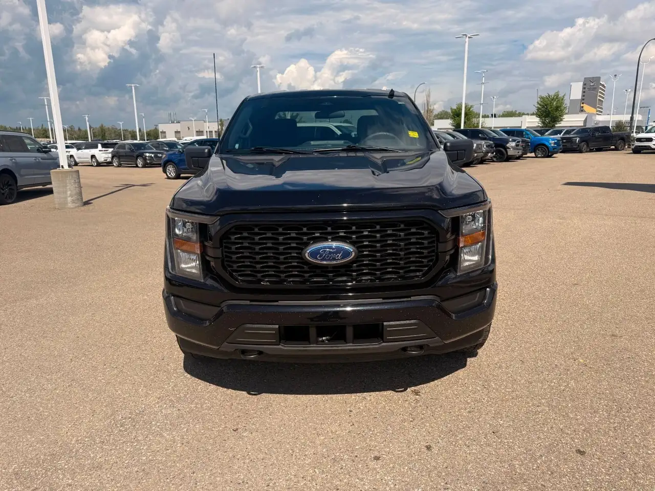 Ford F 150 fotografie Ford F 150
