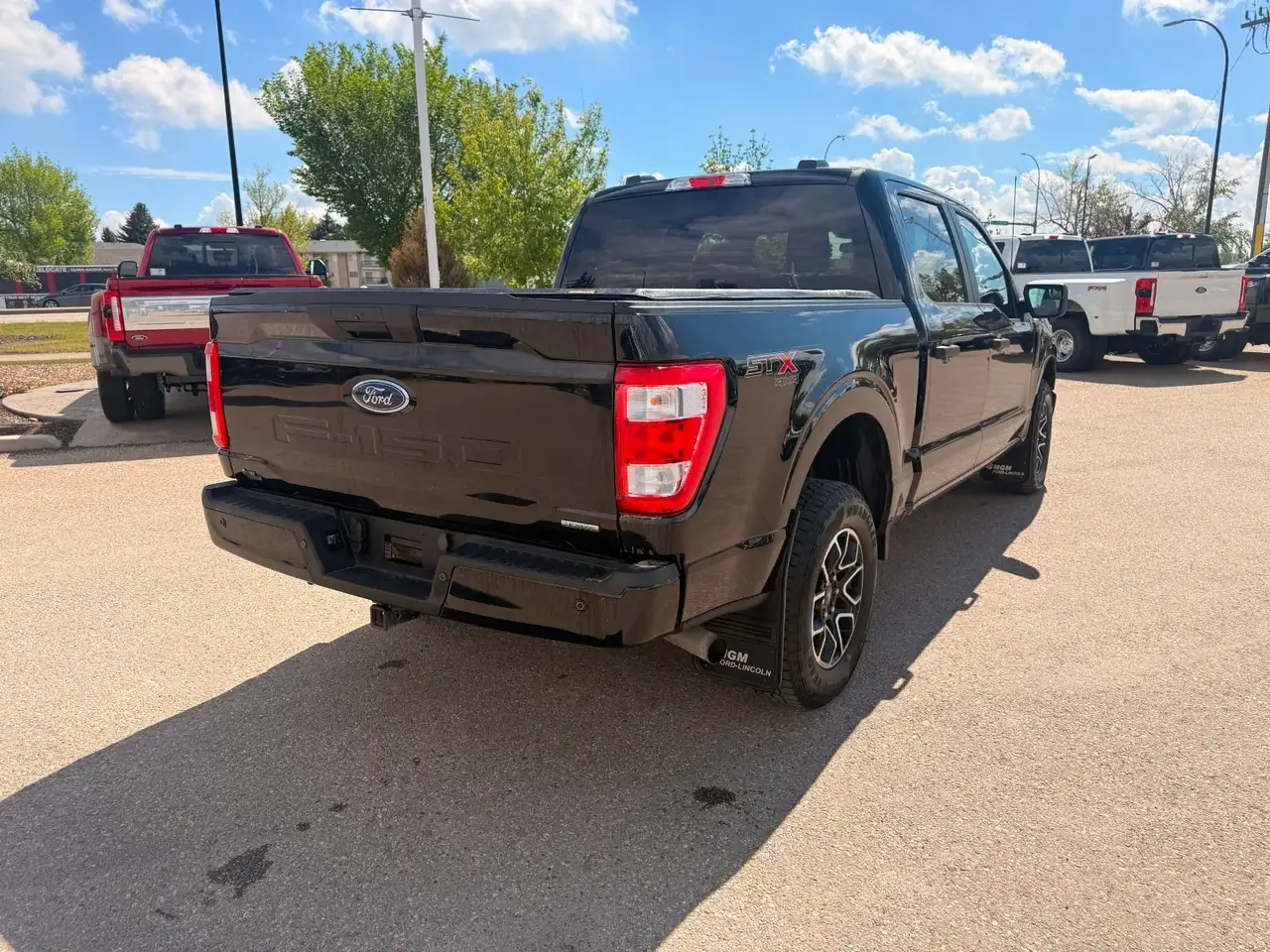 Ford F 150 fotografie Ford F 150