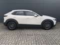 Mazda CX-30 2.0l Navi Head-up LED MRCC 1.Hand Weiß - thumbnail 5