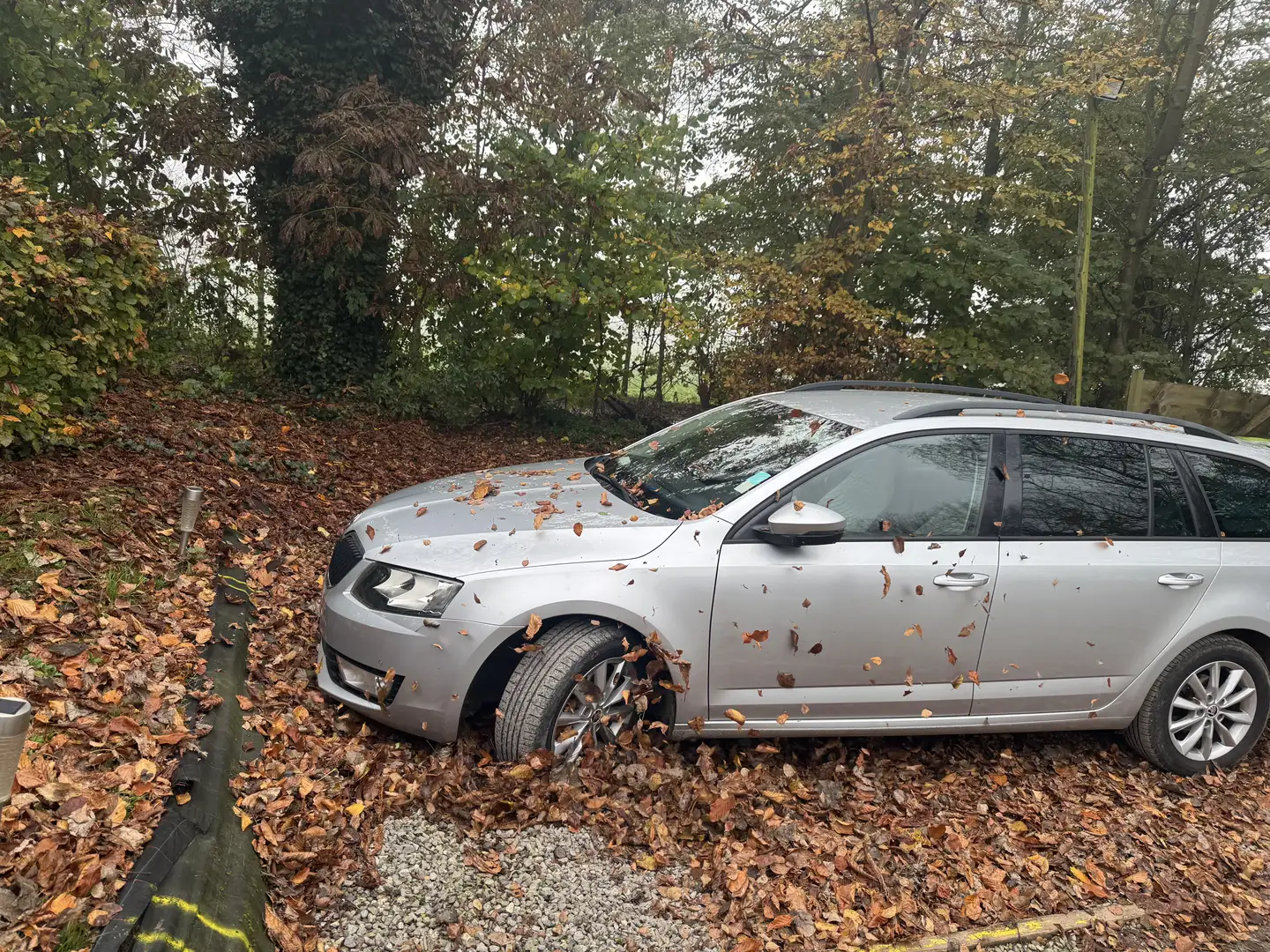 Skoda Octavia Combi 1.6 TDI (Green tec) DSG Ambition - 1