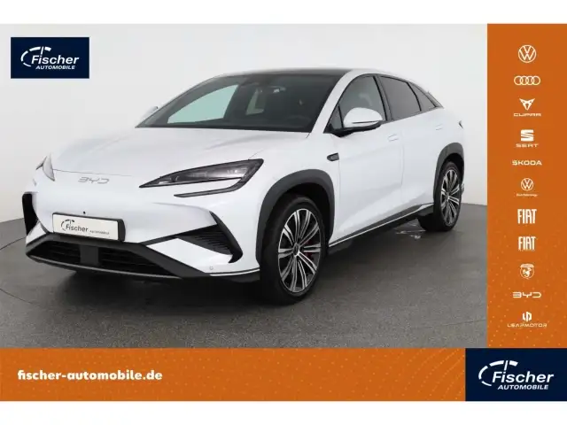 BYD Sonstige