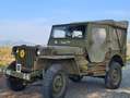 Jeep Willys Willys Ford - thumbnail 6